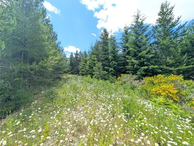View 11