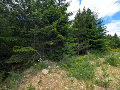 View 21