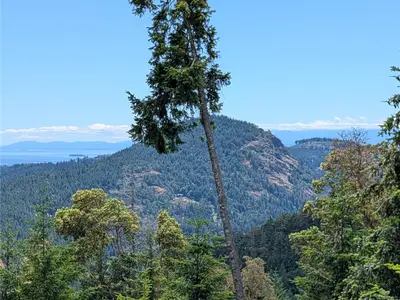 View 23