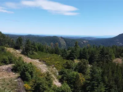View 6