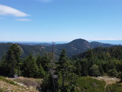 View 46