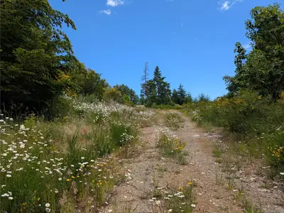 View 13