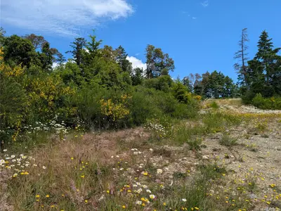 View 17