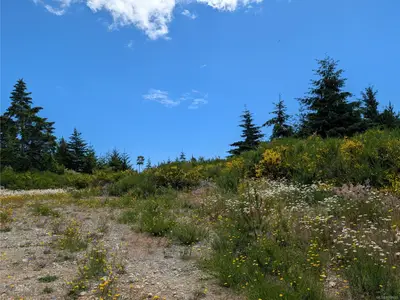 View 16