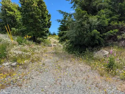 View 12