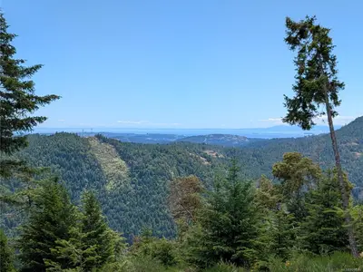 View 26