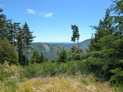 View 22