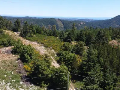 View 7