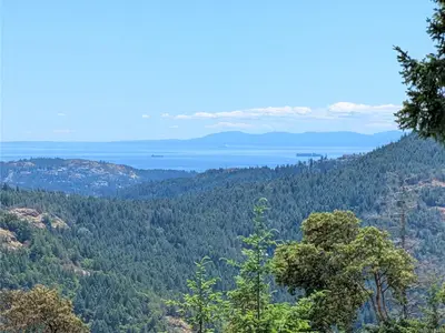 View 3