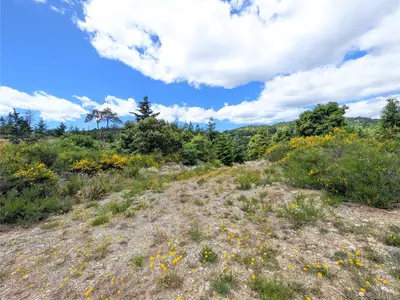 View 32