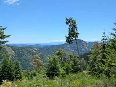 View 24