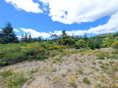 View 33