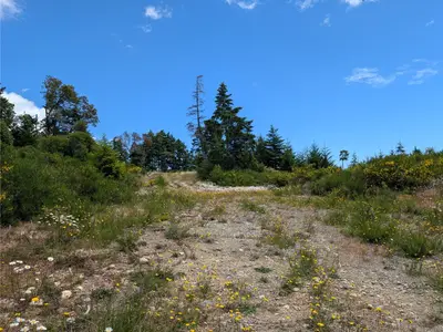 View 15