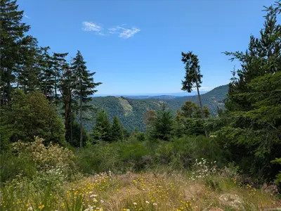 View 19