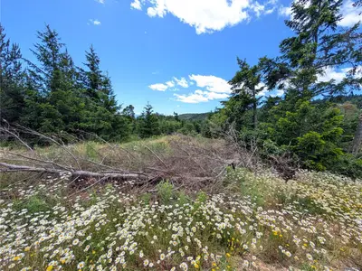 View 29