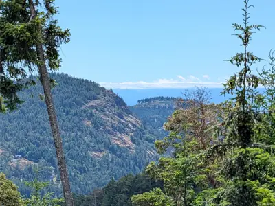 View 4