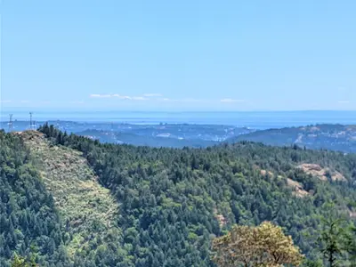 View 25