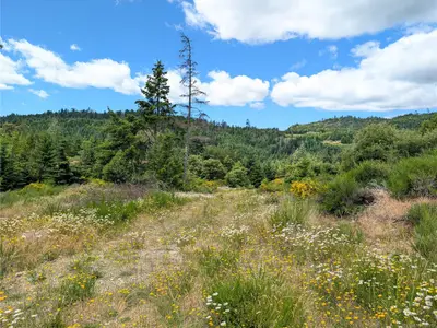 View 21