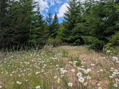 View 23