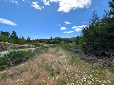 View 13