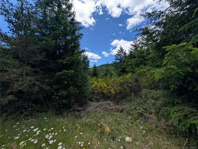 View 12