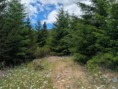 View 22