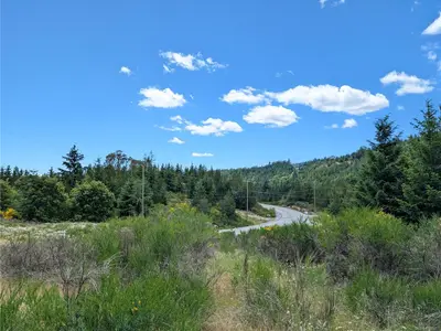View 18