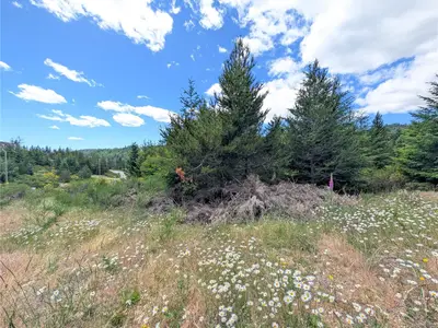 View 15