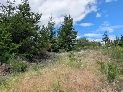 View 19