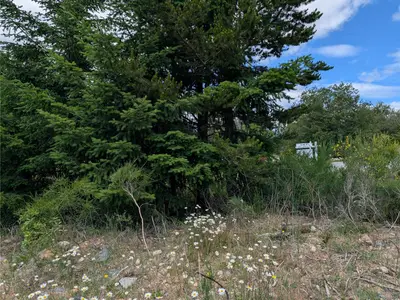 View 21