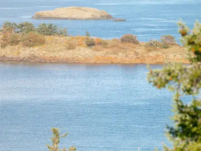 View 13