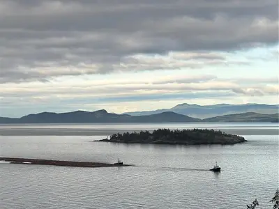 View 36