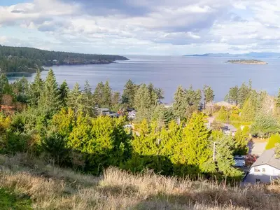View 33