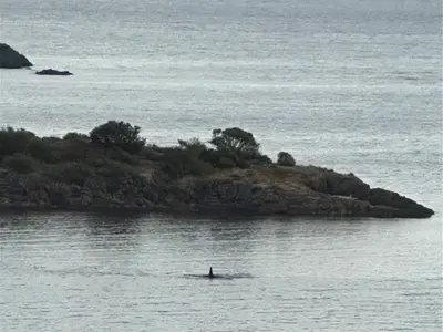 View 37