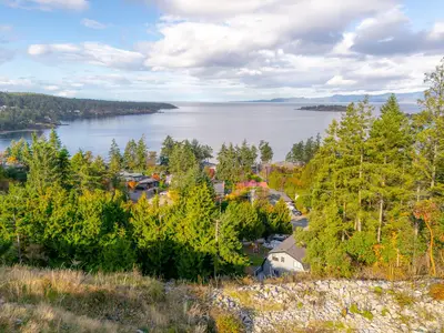 View 35