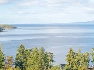 View 31