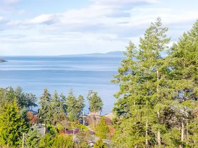 View 29