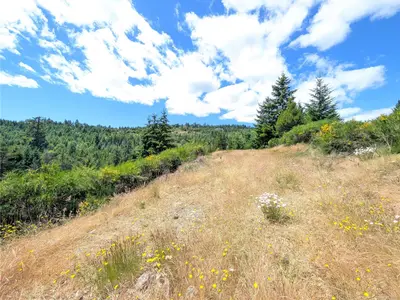 View 23
