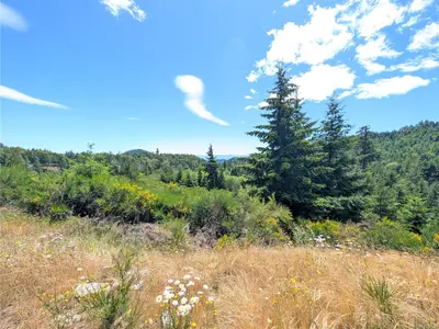 View 27