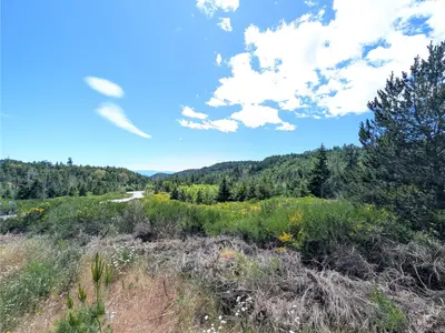 View 16