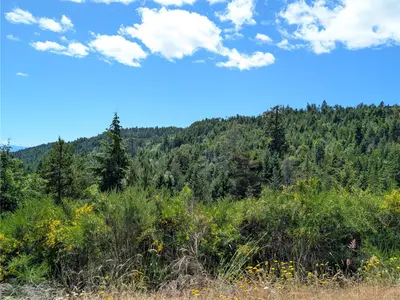 View 22