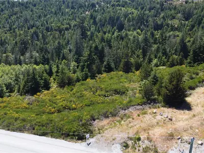 View 7