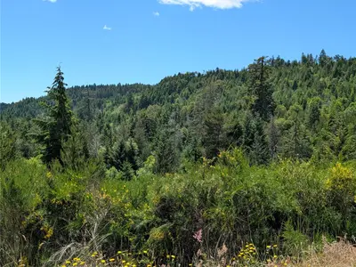 View 32
