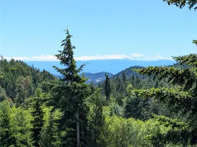 View 1