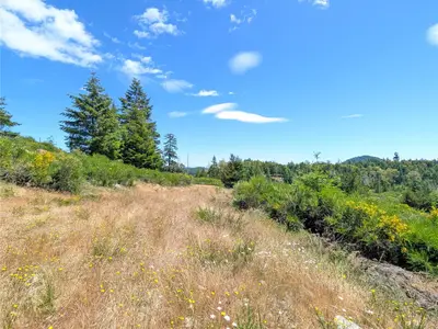 View 28
