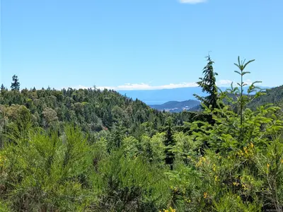 View 24