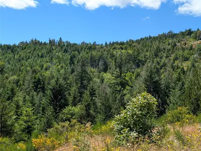 View 30