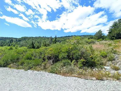 View 37