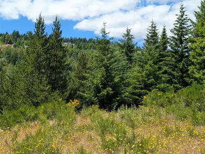 View 31