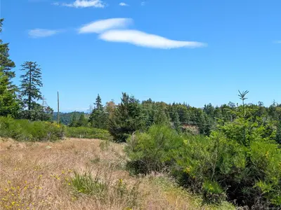 View 29